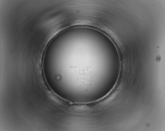 X0000103171129200808221228