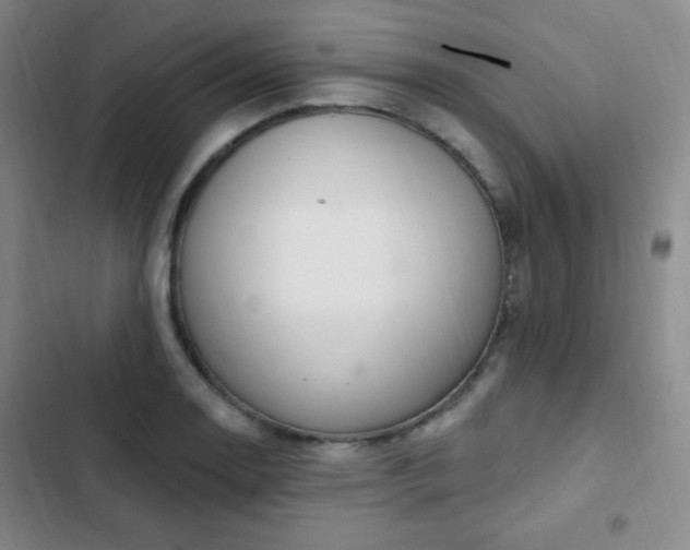 X0000103171130200808221228