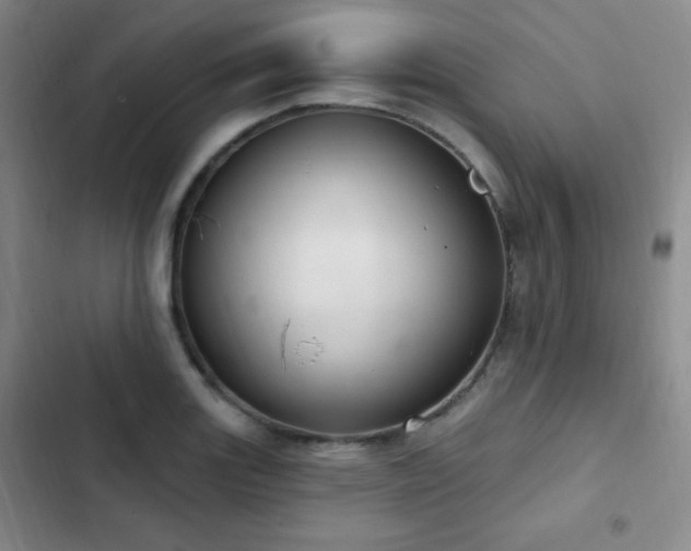 X0000103171131200808221228