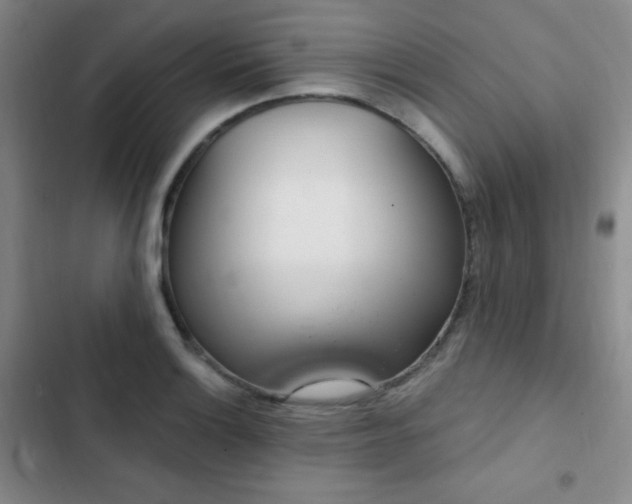 X0000103171132200808221228
