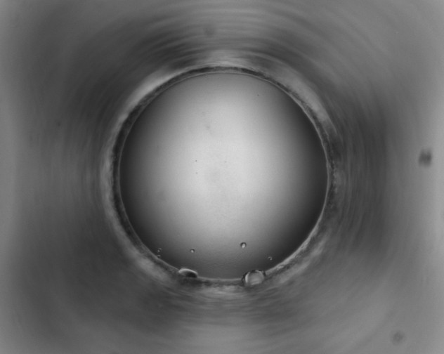 X0000103171133200808221228