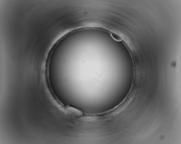 X0000103171134200808221228
