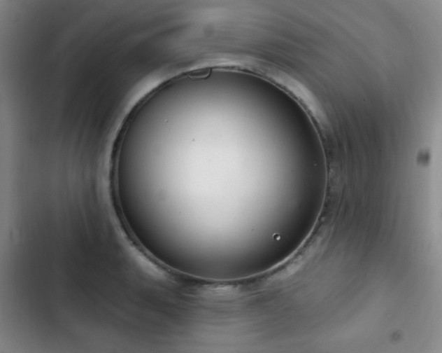 X0000103171135200808221228