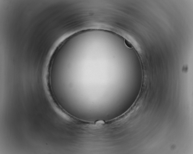 X0000103171136200808221228