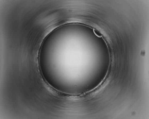 X0000103171137200808221228