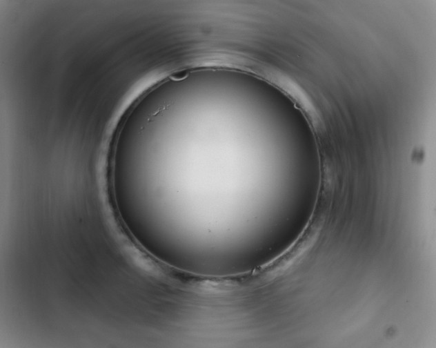 X0000103171138200808221228