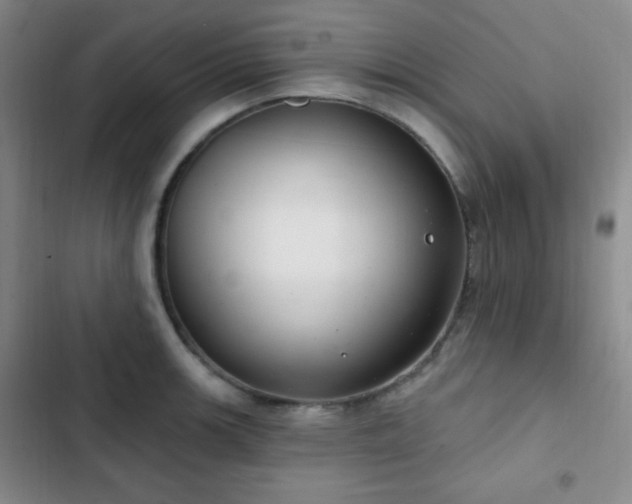 X0000103171139200808221228