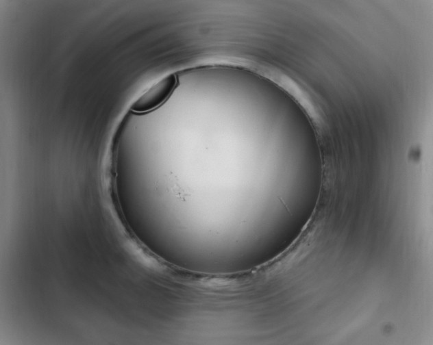 X0000103171140200808221228