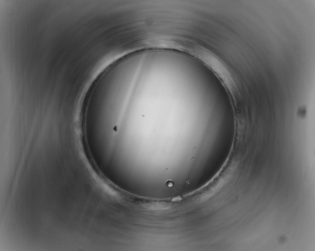 X0000103171141200808221228