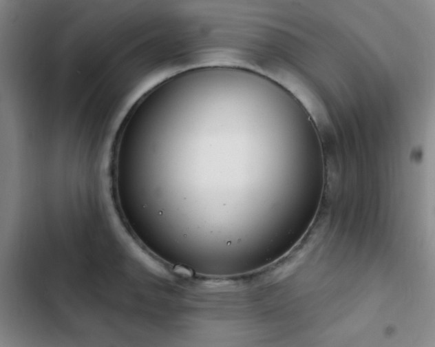 X0000103171142200808221228