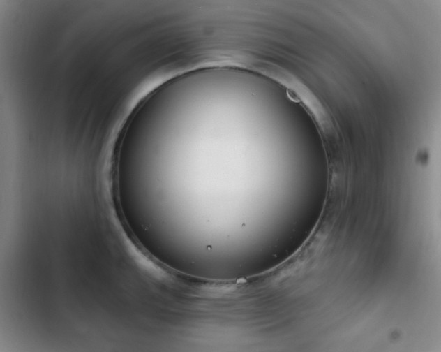 X0000103171143200808221228