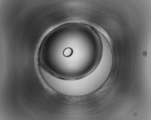 X0000103171144200808221228