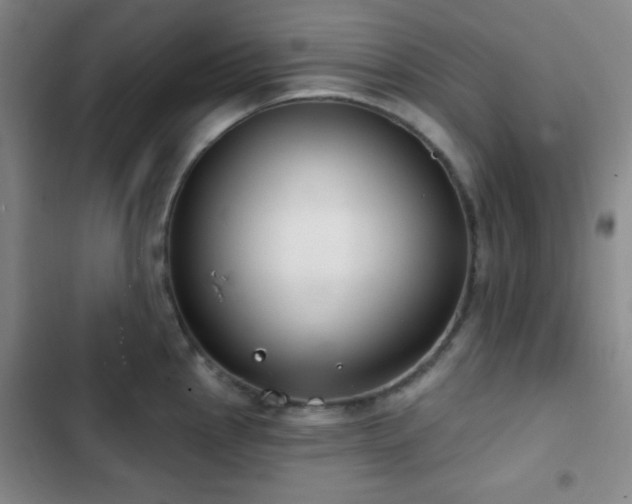 X0000103171145200808221228