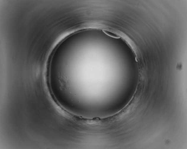 X0000103171147200808221228