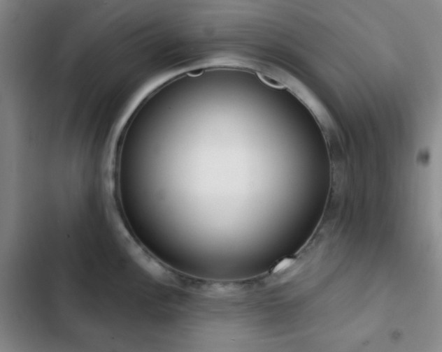 X0000103171148200808221228