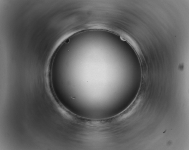 X0000103171149200808221228