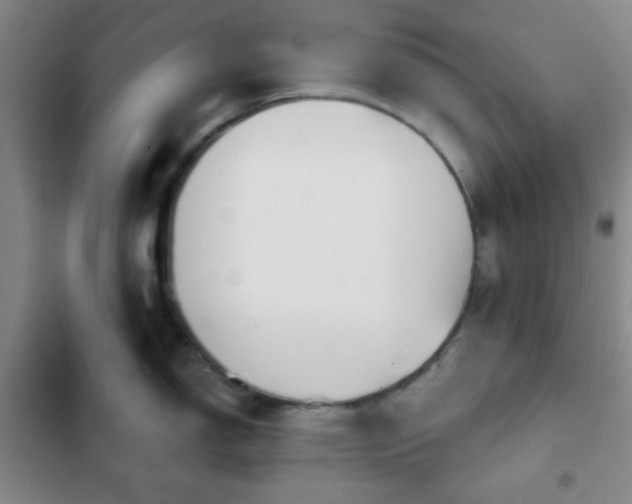 X0000103171150200808221228