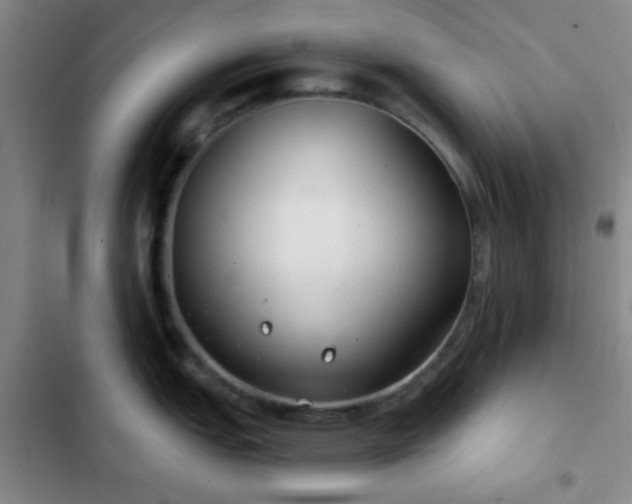 X0000103171151200808221228