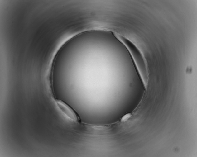 X0000103171152200808221228
