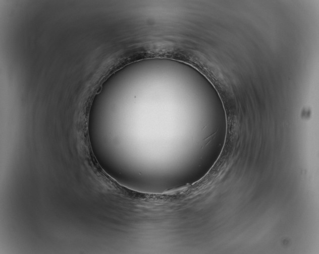 X0000103171153200808221228
