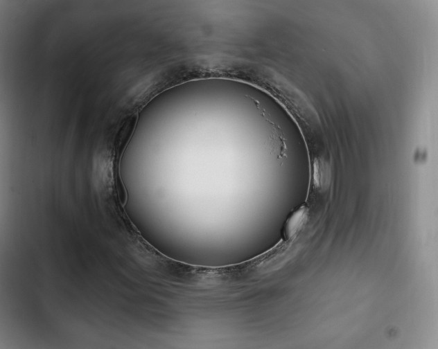 X0000103171155200808221228
