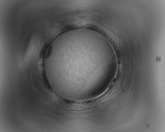X0000103171156200808221228