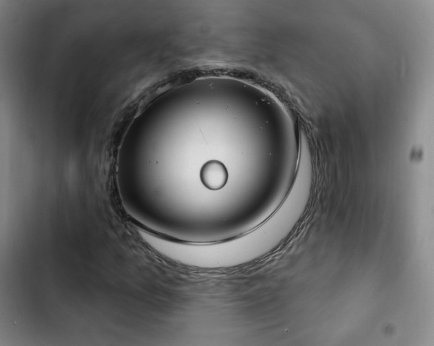 X0000103171157200808221228