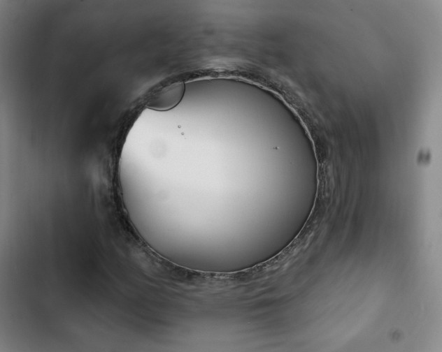 X0000103171158200808221227