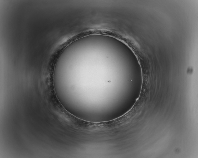X0000103171159200808221227