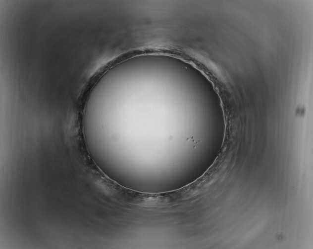 X0000103171160200808221227