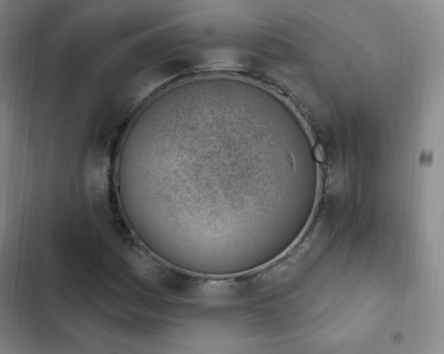 X0000103171161200808221227