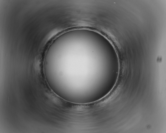 X0000103171163200808221227