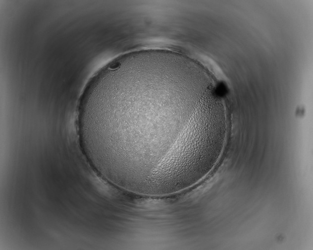 X0000103171164200808221227