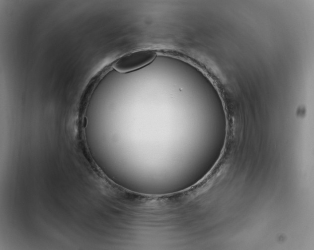 X0000103171165200808221227