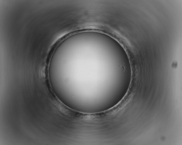 X0000103171166200808221227
