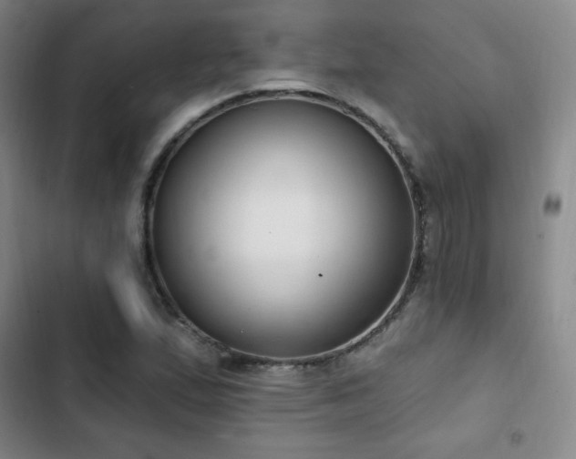 X0000103171167200808221227