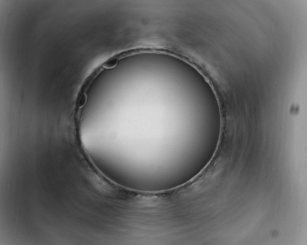 X0000103171168200808221227