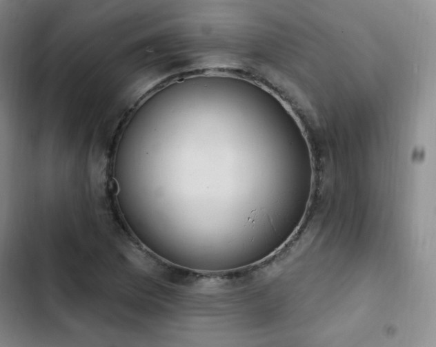 X0000103171169200808221227