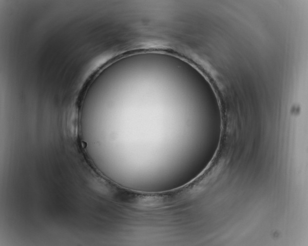 X0000103171171200808221227