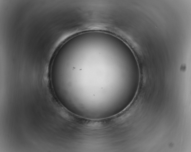X0000103171174200808221227