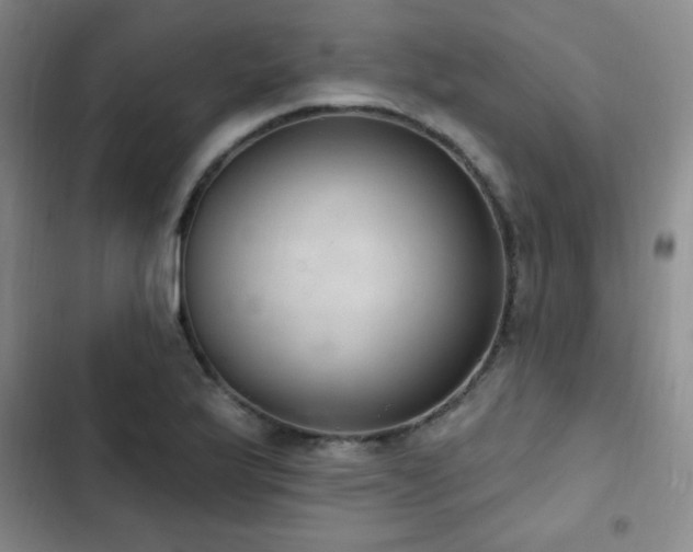 X0000103171175200808221227