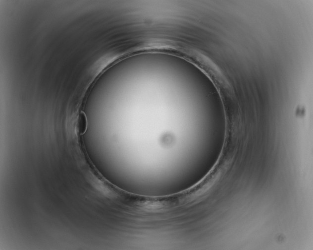 X0000103171177200808221227