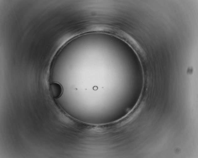 X0000103171178200808221227