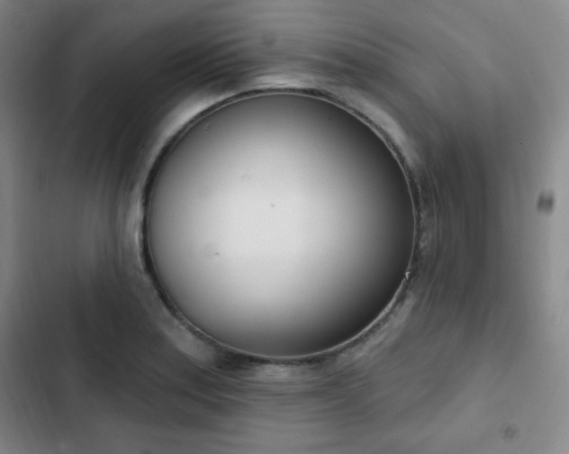 X0000103171179200808221227