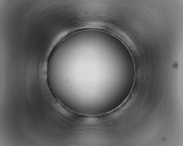X0000103171180200808221227