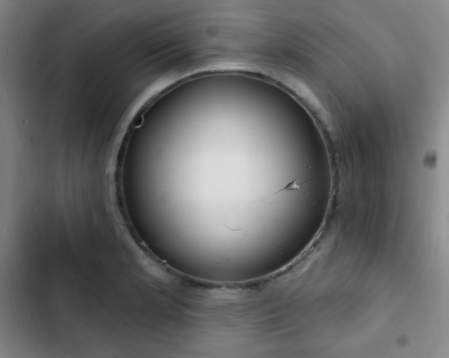 X0000103171181200808221227