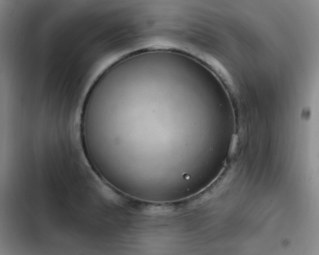 X0000103171183200808221227