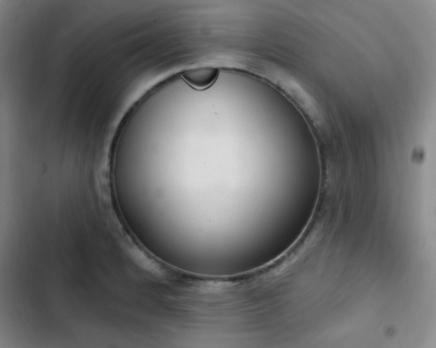 X0000103171184200808221227
