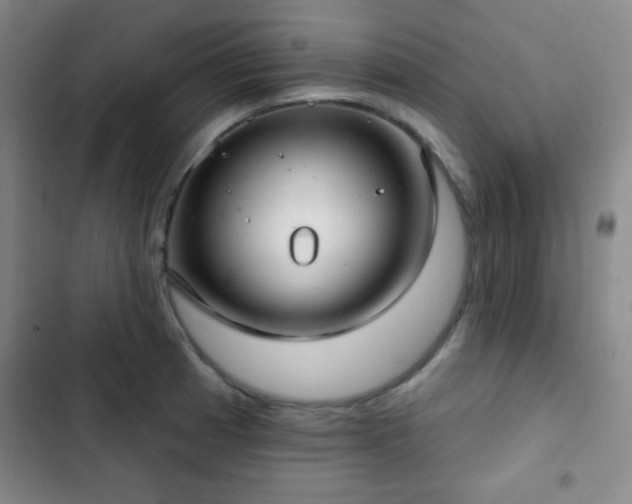 X0000103171185200808221227