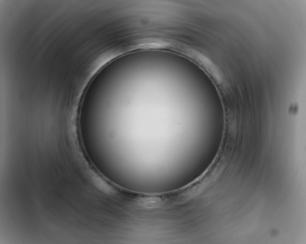 X0000103171186200808221227